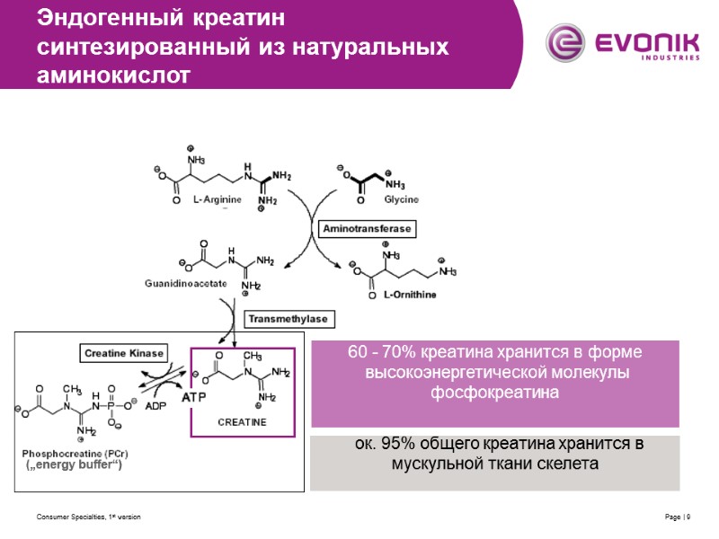 Consumer Specialties, 1st version Page | 9 („energy buffer“)   ок. 95% общего